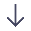 Down arrow navy icon