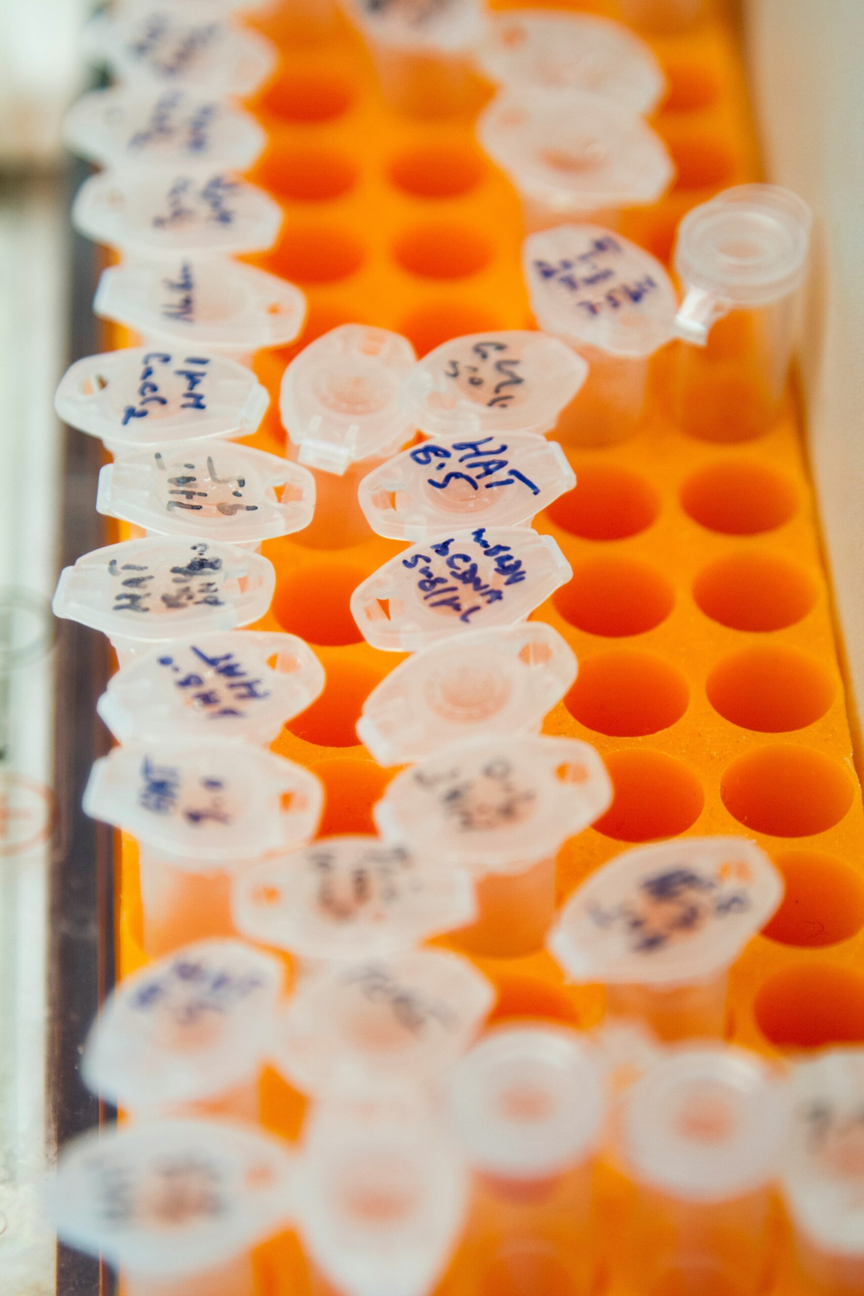 National cancer institute image